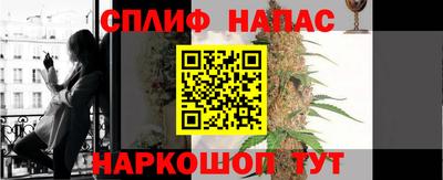 jwh Кингисепп