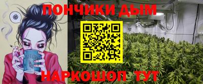jwh Кингисепп